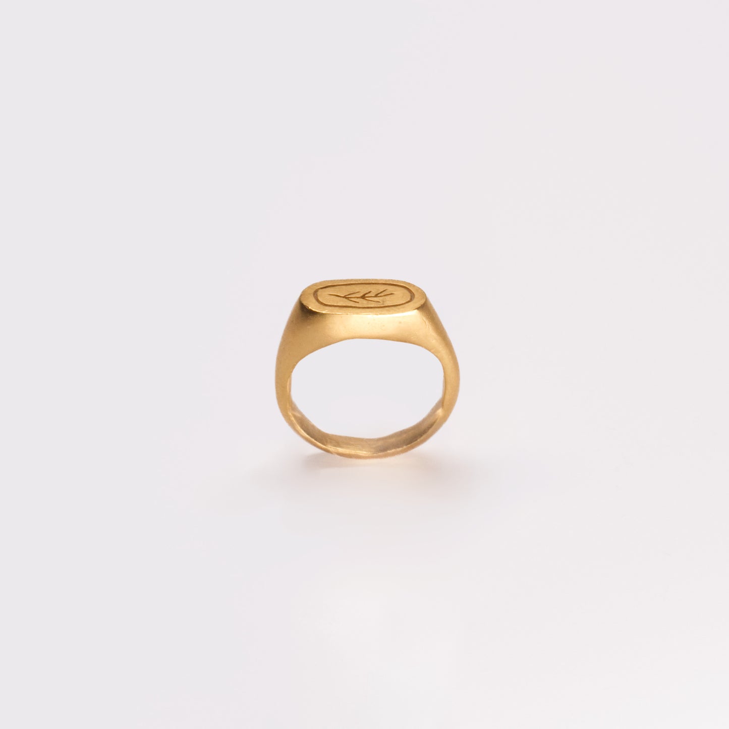 Laurus Signet Ring