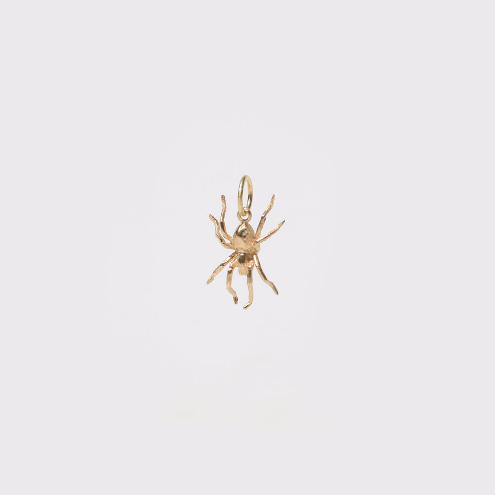 Spider Charm