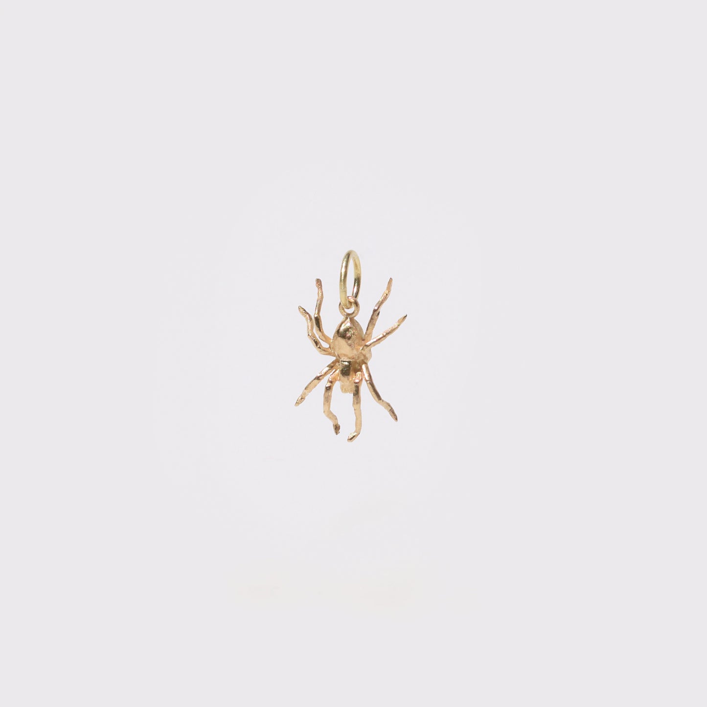 Spider Charm
