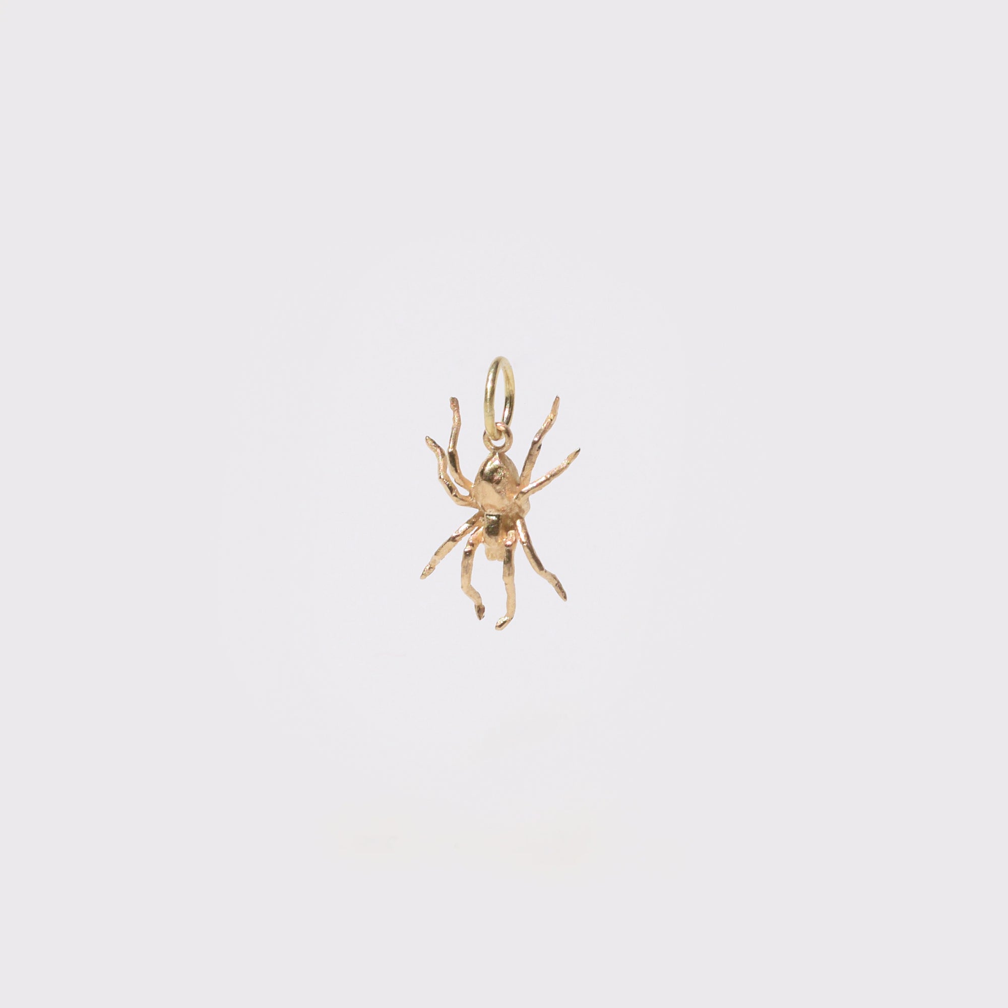Spider Charm