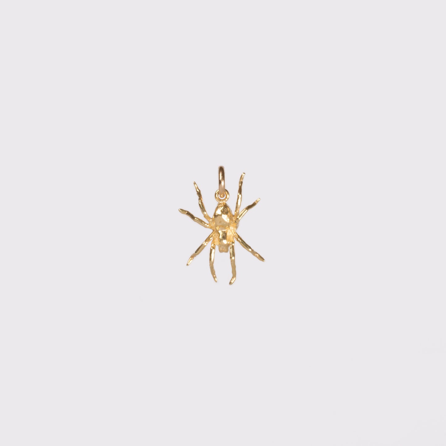 Spider Charm