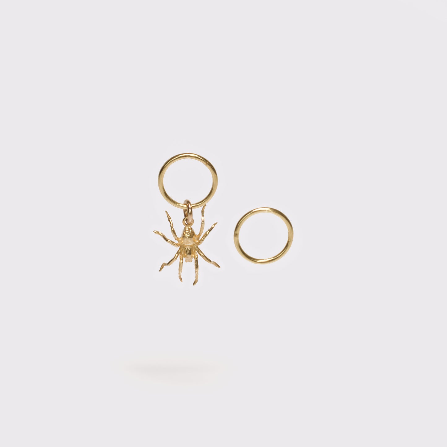 Spider Charm